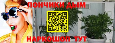 шишки Заволжье