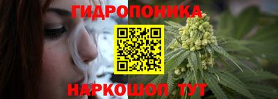 шишки Заволжье