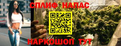 шишки Заволжье