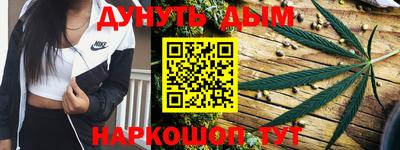 шишки Заволжье