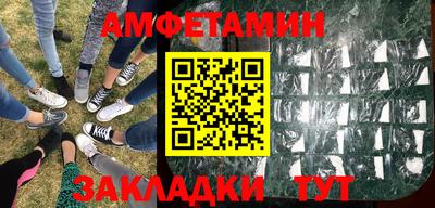 шишки Заволжье