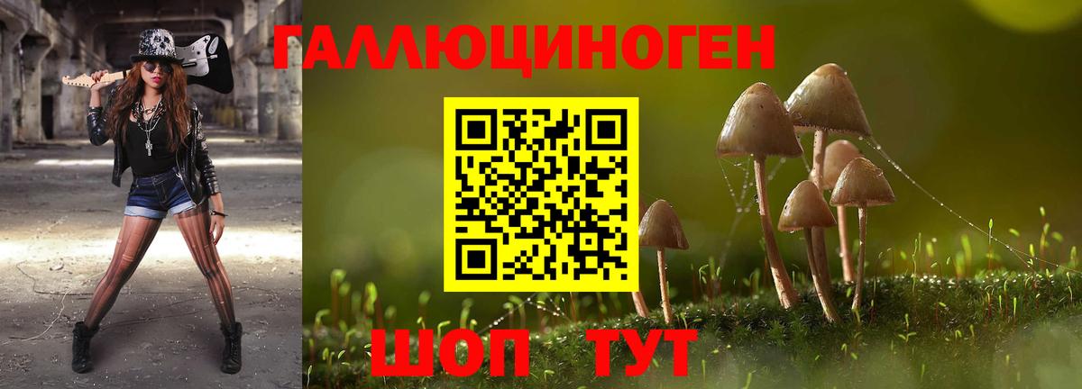 Галлюциногенные грибы Cubensis Лянтор